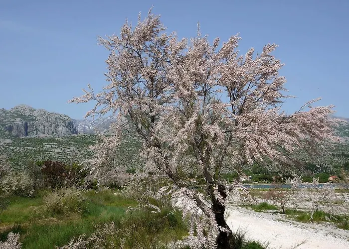Διαμέρισμα Paklenica Sport *