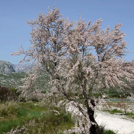 Apartmán Paklenica Sport *